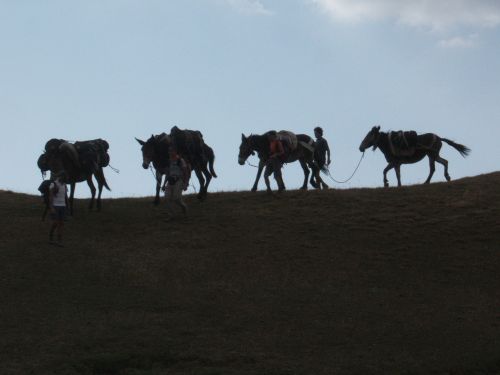 trekking con i muli-101.JPG